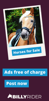 Horses for sale - Ads free of charge - Post now!