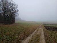 Profile picture Urte