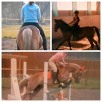 Profile picture Sliont Equine (Saskia Rosche)