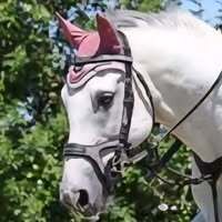 Profile picture Heidi Petzing