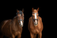 Profile picture Nina