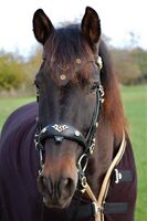Profile picture Francisca