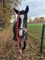 Profile picture Denise