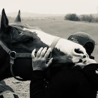 Profile picture Susan Wizenty