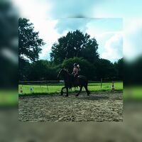 Profile picture Privat