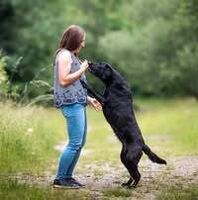 Profile picture Melanie Zeiler