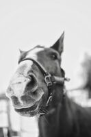 Profile picture Lisa J.