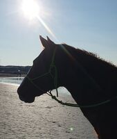 Profile picture Privater Anbieter